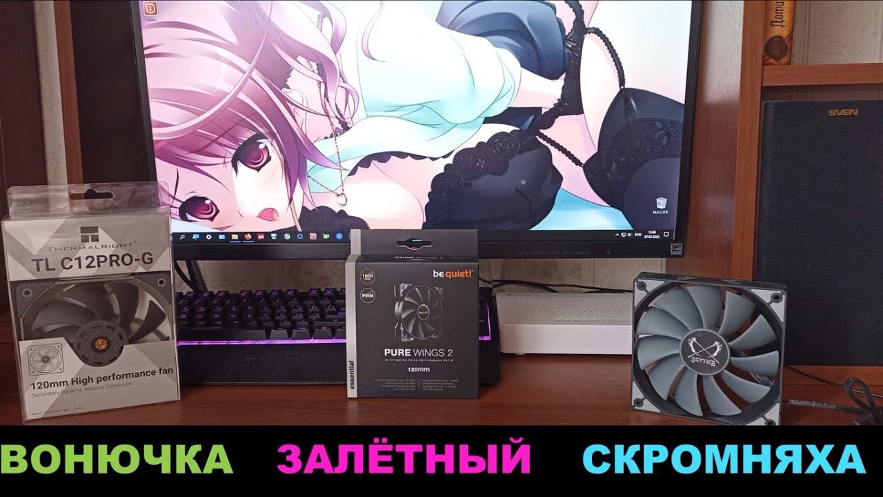 Termalright TL-C12PRO vs BeQuite! Pure Wings 2 vs Scythe Kaze Flex смотреть онлайн