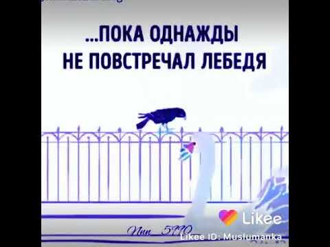 Никогда не завидуйте смотреть онлайн