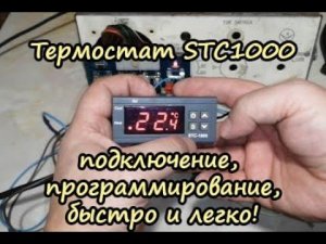 Термостат STC1000, подключение и настройка: быстро, наглядно, просто!