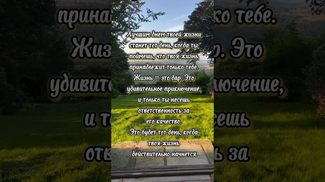 Цитаты #мудрыецитаты #motivation #шортс #цитаты #успех #любовь #люди #поэзия #success смотреть онлайн