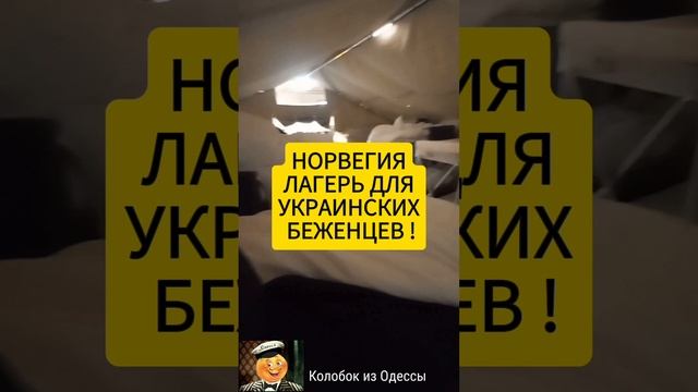 Лагерь для украинских беженцев в Норвегии смотреть онлайн