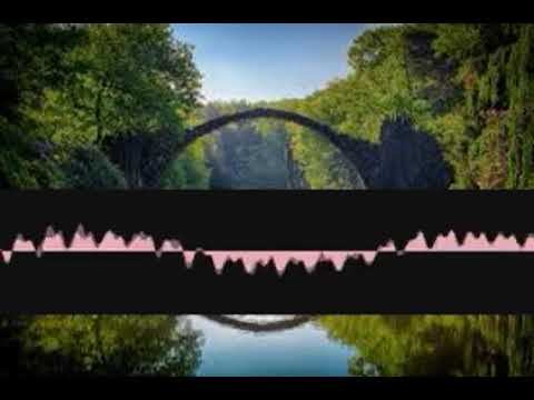 Ragdistortion Sociomusicology caxjzkfous смотреть онлайн