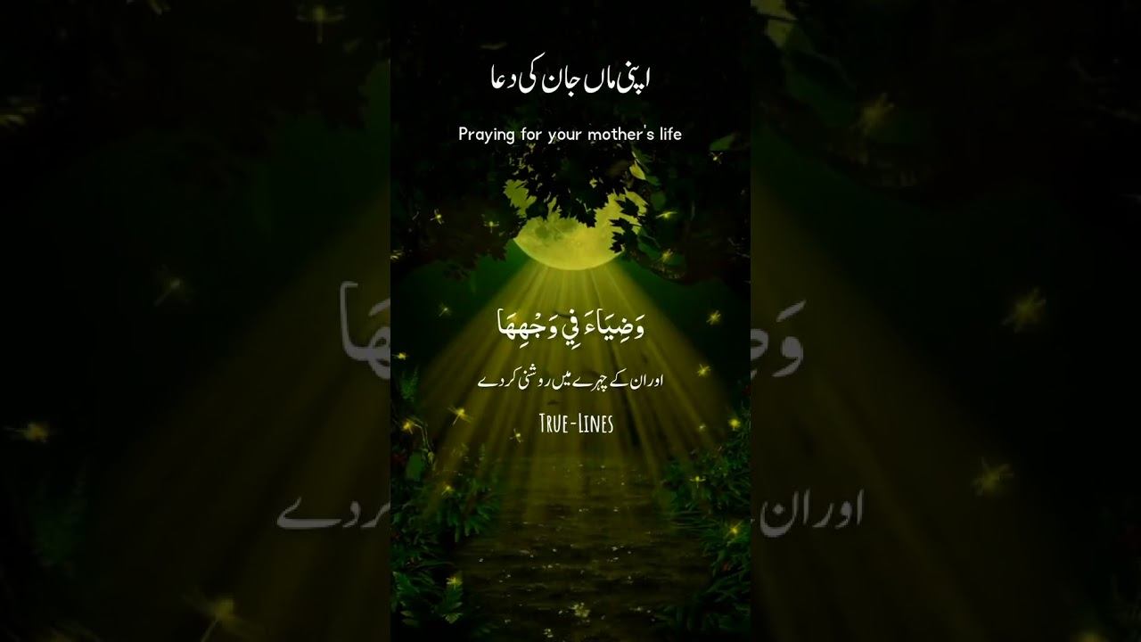 Ameen Summa Ameen ❤️🩹🤍 | True-Lines | subscribe my channel | follow me on tiktok👉 islamic_vibez.65 смотреть онлайн