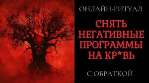 ЧИСТКА НЕГАТИВА, СДЕЛАННОГО НА КР*ВЬ. ОНЛАЙН-РИТУАЛ