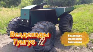 Вездеход мосты Волга+ваз