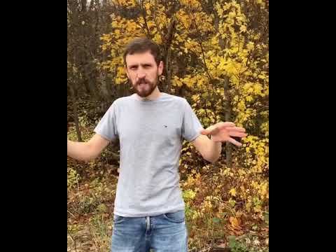 Выживание в дикой природе смотреть онлайн