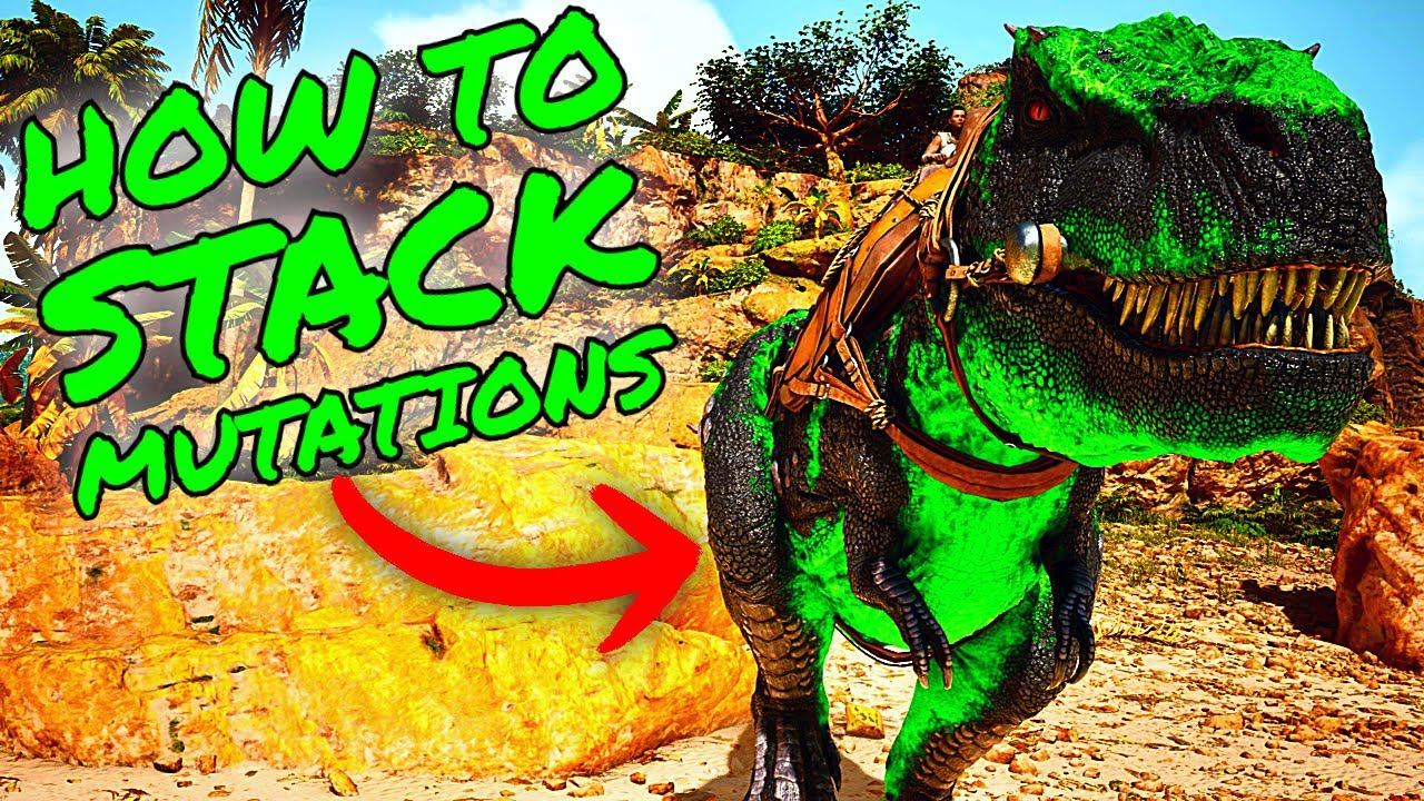 How To STACK MUTATIONS in Ark Survival Ascended! ASA MUTATIONS/BREEDING GUIDE!!! смотреть онлайн