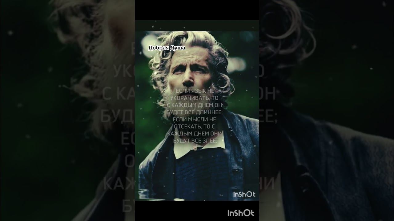 #shortsvideo Мудрые слова✍️ смотреть онлайн