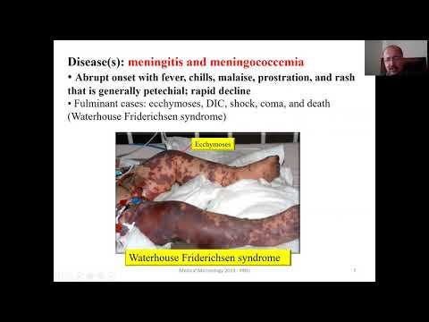 Neisseria & Moraxella смотреть онлайн