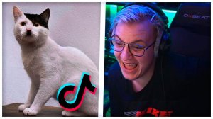 Пятёрка смотрит Смешную подборку Тиктоков [пятерка/фуга тв нарезка]