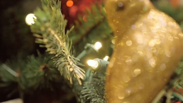 Искусственные ели | Обзор Holiday Tree смотреть онлайн