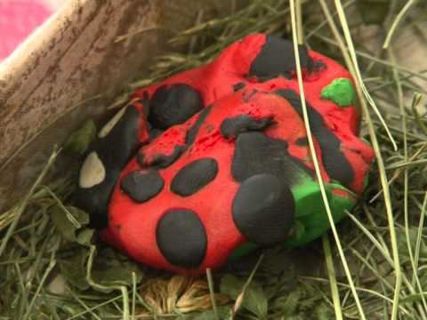 Дмитрий В. 29.06.2009 - Мои достижения смотреть онлайн