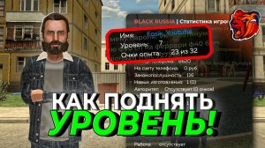 ✅ КАК ПОДНЯТЬ УРОВЕНЬ НА БЛЕК РАШЕ ЗА ОДИН ДЕНЬ?! САМЫЕ НОВЫЕ И ЭФФЕКТИВНЫЕ СПОСОБЫ НА BLACK RUSSIA