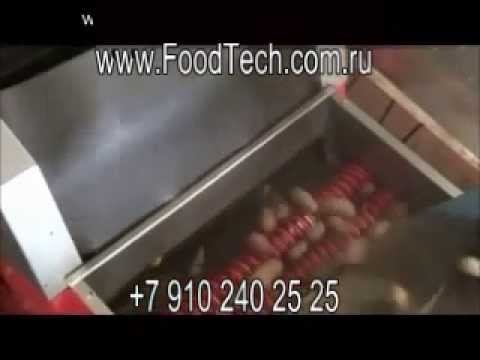 сортировщик картофеля Www.FoodTech.com.ru сортировка картофеля