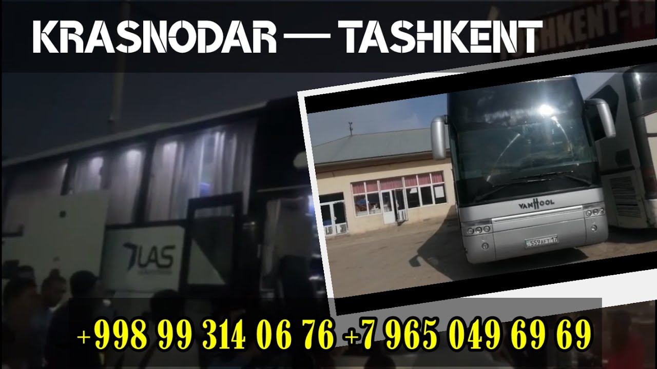 Ташкент Краснодар автобус/ Краснодар Ташкент автобус смотреть онлайн