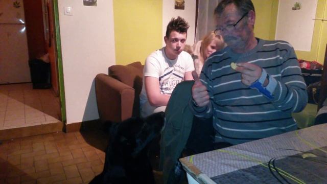 Le chien de mon ami c'est compter jusqu'à 7 смотреть онлайн