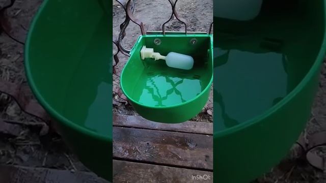 Использование поилки с автоуровнем смотреть онлайн