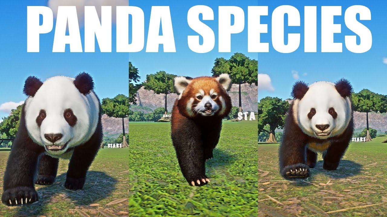 Panda Species Speed Races in Planet Zoo includes Giant Panda, Red Panda, Qinling Panda смотреть онлайн