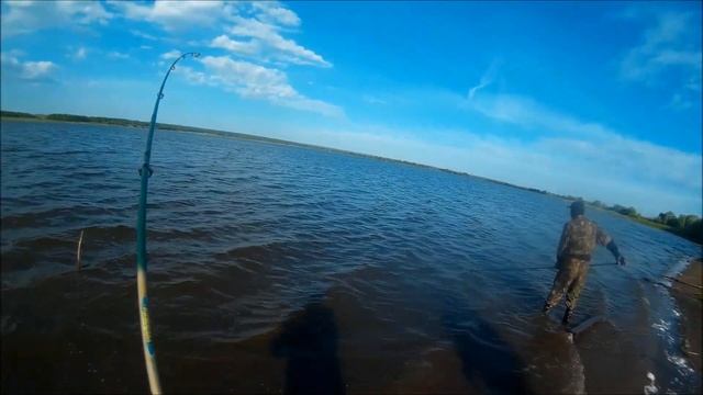 Рыбалка Сазан Первый есть