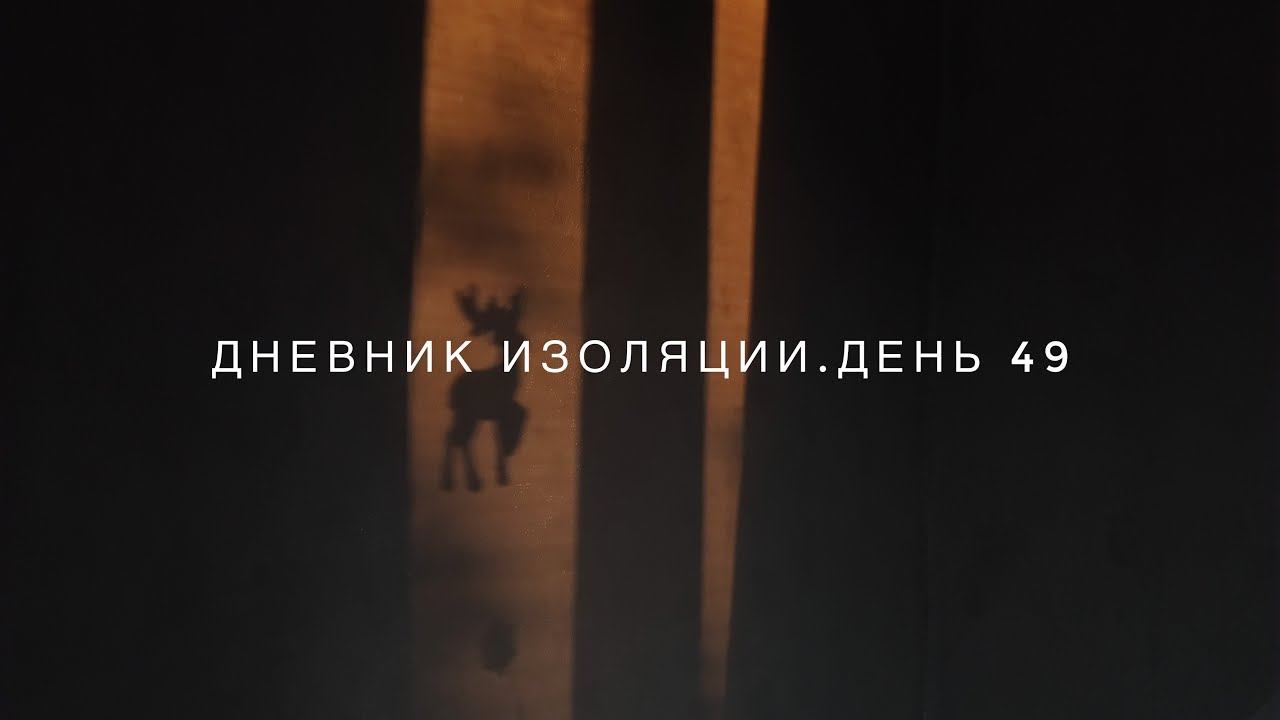 Дневник Изоляции.День 49 смотреть онлайн