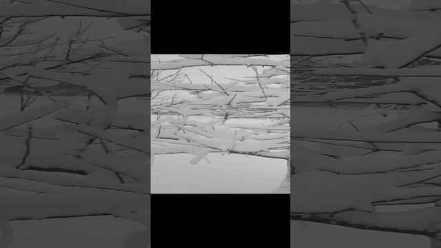 Сад после ночного снегопада смотреть онлайн