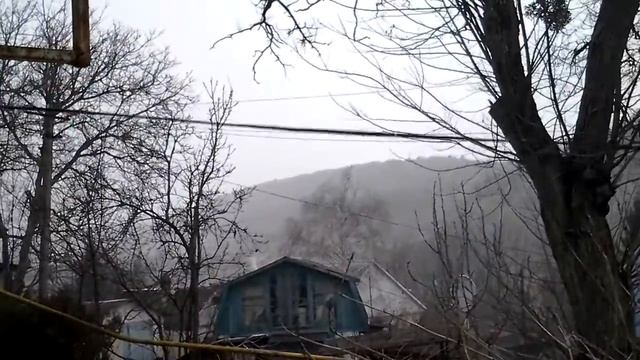 пермакультура и разное природное ярмарки, огороды, лесное фермерство