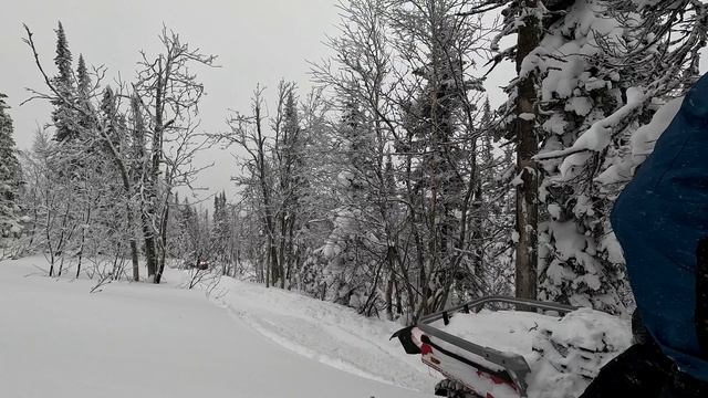 Снегоход AODES SWT. Реальные условия эксплуатации. смотреть онлайн