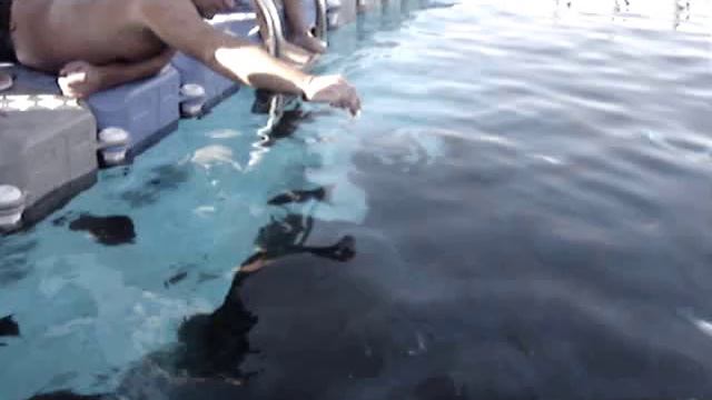 египет2009 4 смотреть онлайн