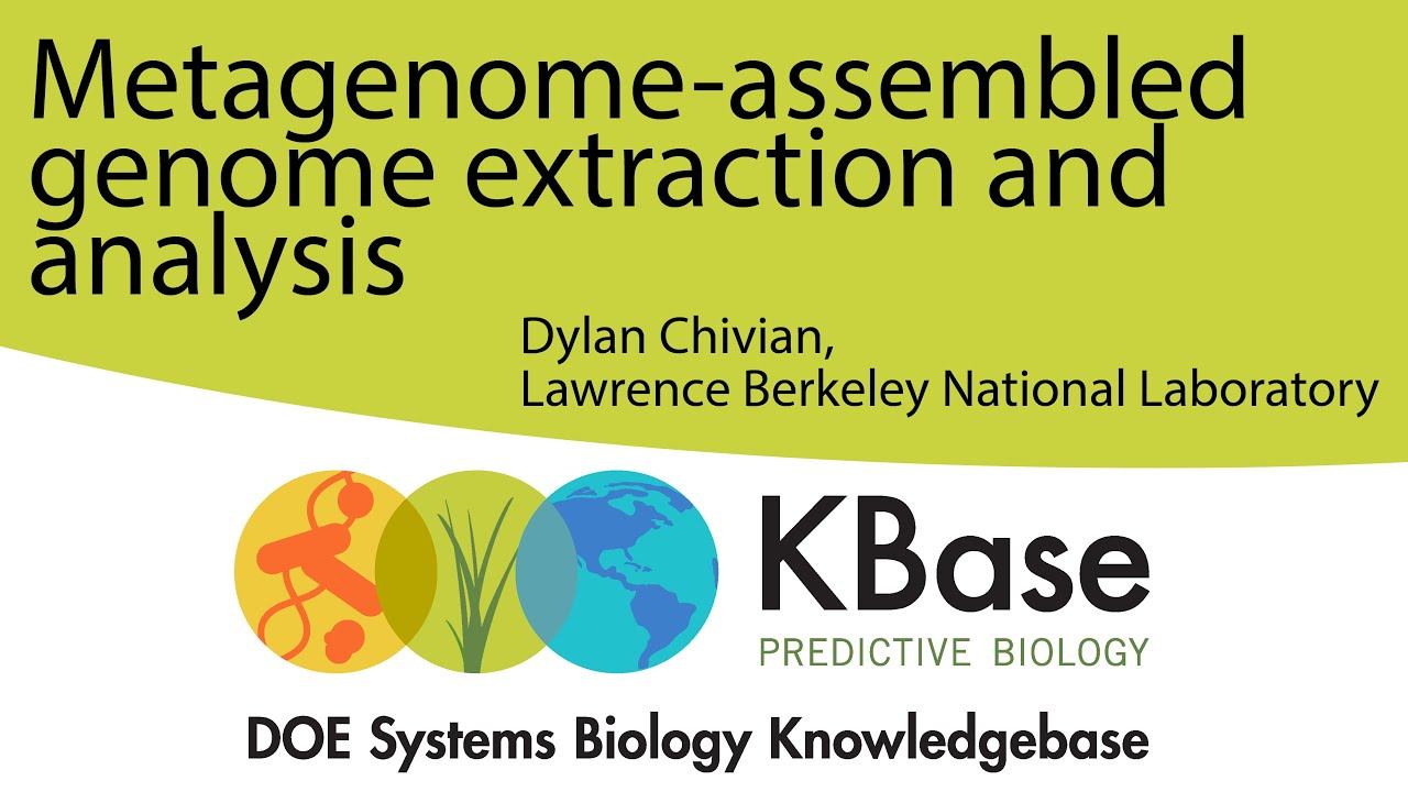 Metagenome-assembled Genome Extraction and Analysis смотреть онлайн