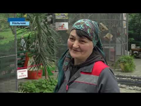 Весна близко! ВТК КБР 23.01.19. смотреть онлайн