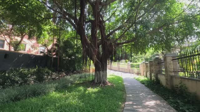 Китай, Сямен (Xiamen), Jul 2024, Gulangyu Island, Short Version смотреть онлайн