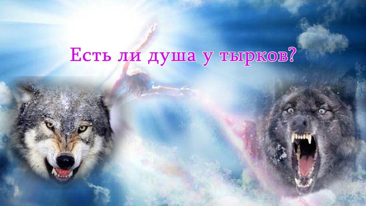 Talyshistan Tv 30.03.2016 News in azerbaijani-turkish: Есть ли душа у тырков? смотреть онлайн