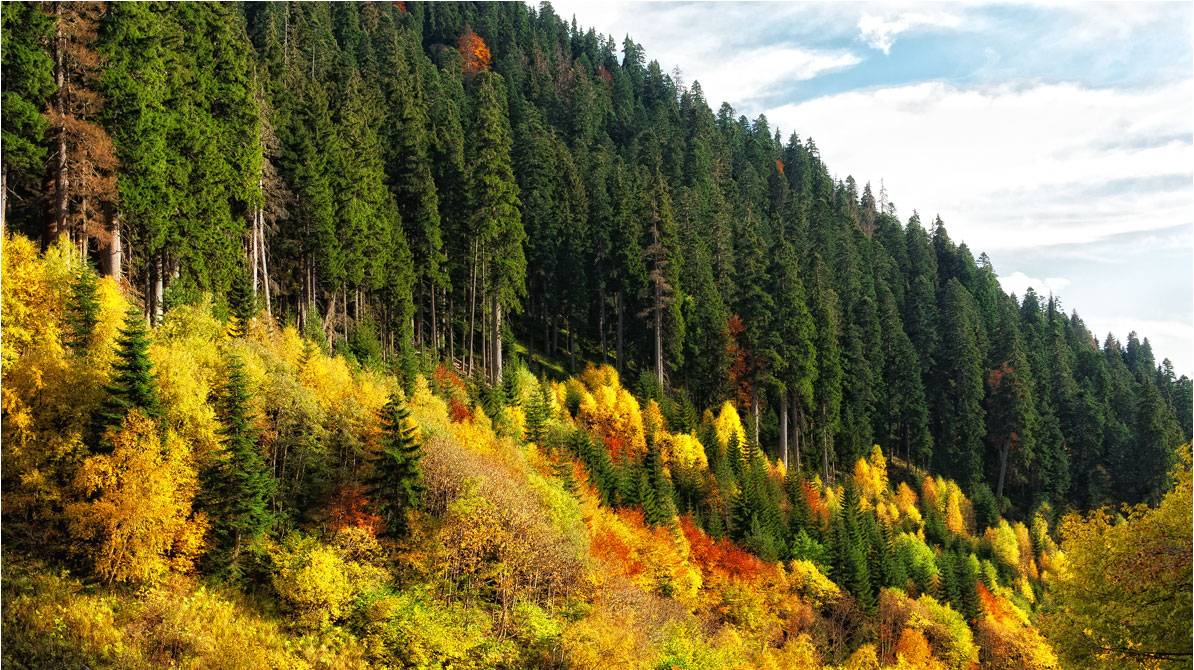 - Каким видится из сибирской глубинки русский народ? смотреть онлайн