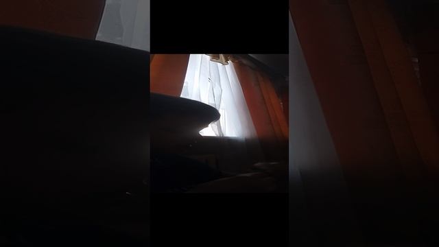 1000023246.mp4 смотреть онлайн