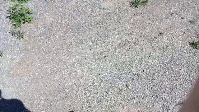 Вот куда меня занесло 😊😊 привет вам мои дорогие смотреть онлайн