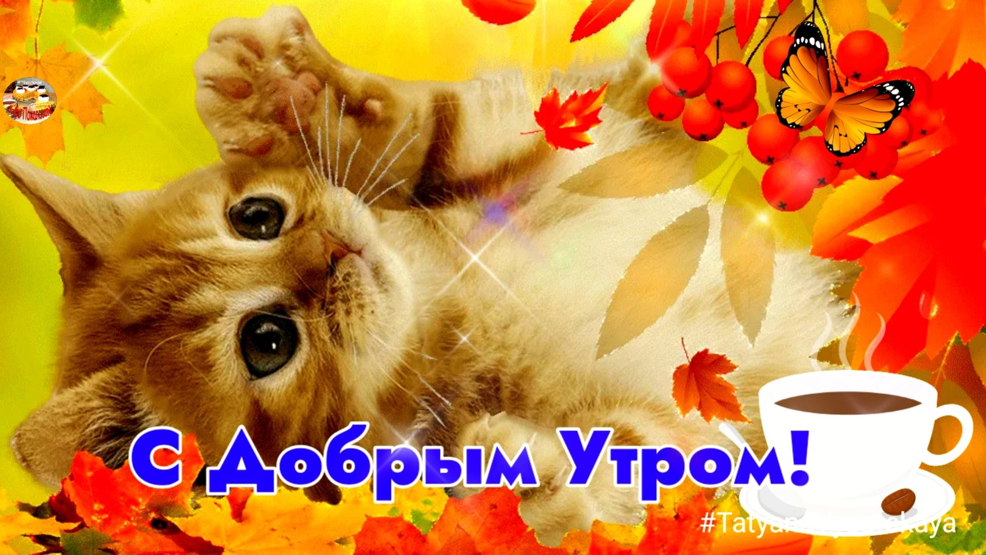 Самого НАИЛУЧШЕГО ПРЕКРАСНОГО ДОБРОГО УТРА ДЛЯ ВАС!! Музыкальное поздравление на каждый день. смотреть онлайн