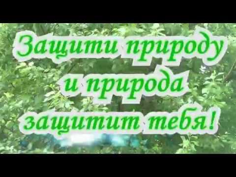 Защити природу 2017 смотреть онлайн