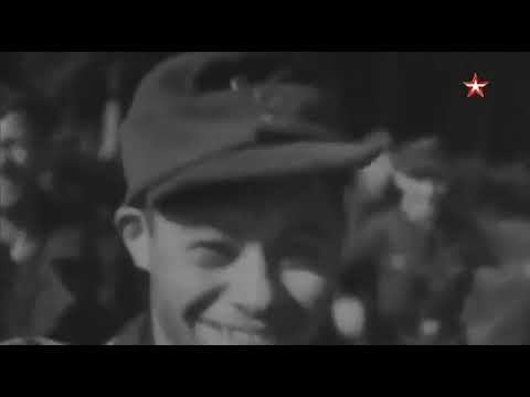 Охота на насле смотреть онлайн