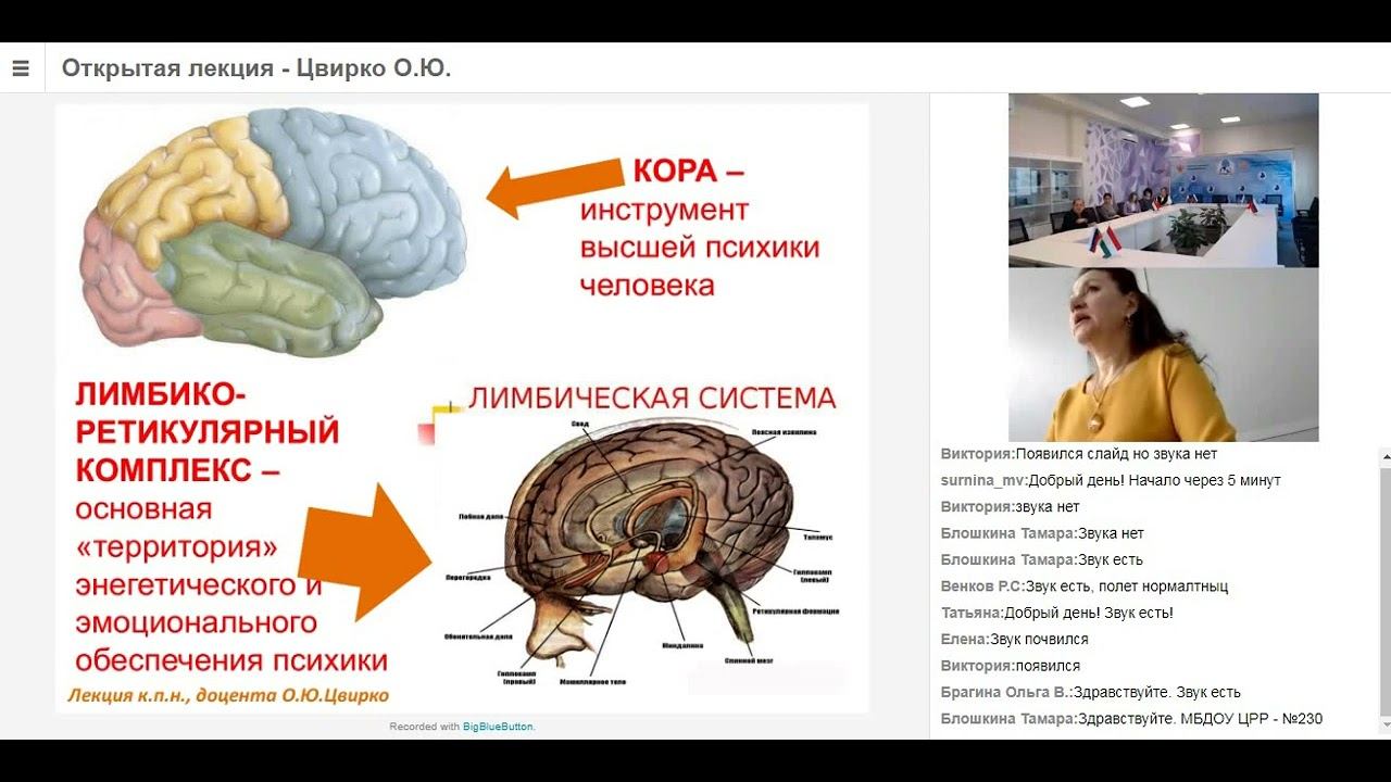 Эмоциональный интеллект (открытая лекция Ольги Юрьевны Цвирко) смотреть онлайн