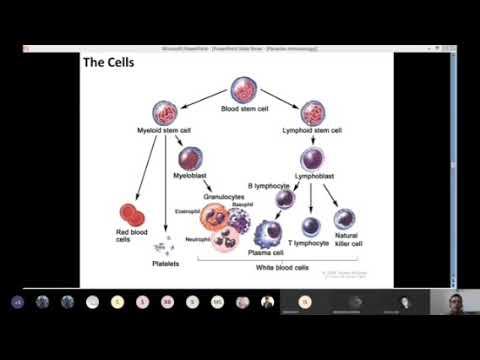 Cells of the Innate Immune System & Pathogen recognition смотреть онлайн