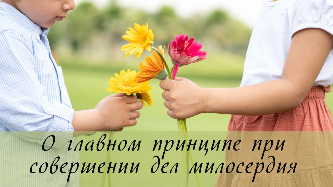 О главном принципе при совершении дел милосердия смотреть онлайн