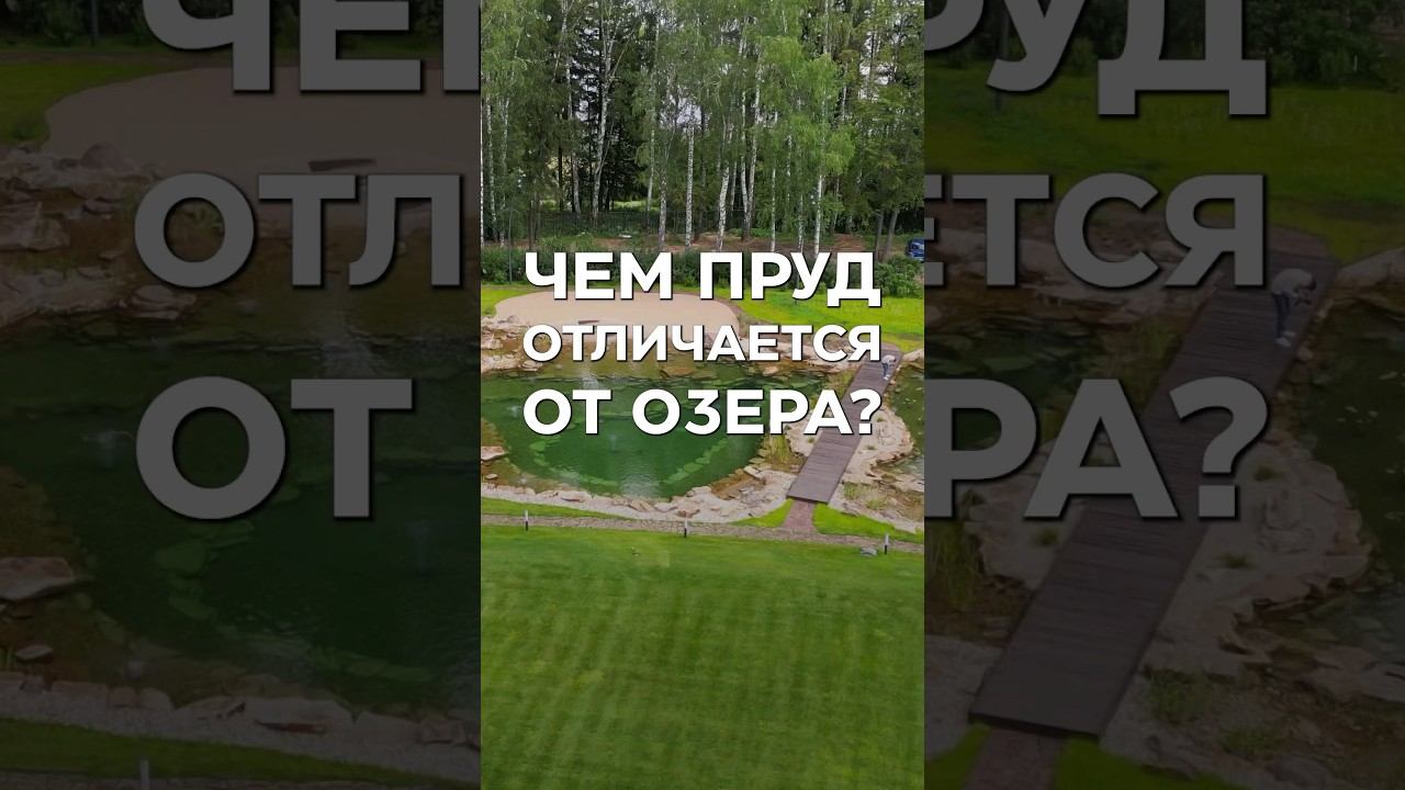 Чем пруд отличается от озера? смотреть онлайн