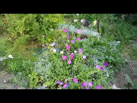 #45 Троицкие родники не наполняют водохранилище, засуха. смотреть онлайн