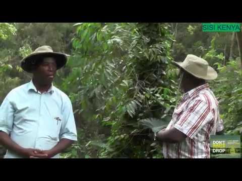 SISI KENYA | HYDRAM AGRITECH - Wetlands restoration and conservation | смотреть онлайн