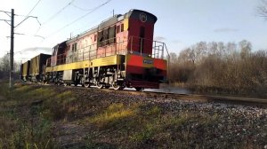 «Впервые!». Тепловоз ЧМЭ3-2029 с тремя грузовыми вагонами проезжает станцию «Лесной городок».