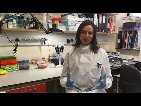 Studying ATR-X Syndrome смотреть онлайн