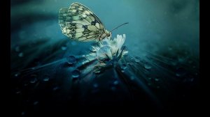 Спикерская Ксении. АП. (Анонимные переедающие). Тема: "Опыт первого и второго шагов".