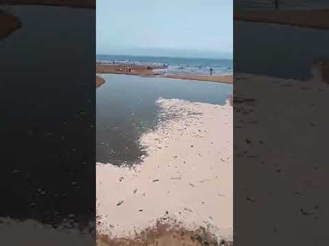 تدفق كميات كبيرة من النفايات السائلة الى شاطئ أكادير في عز فصل الصيف смотреть онлайн