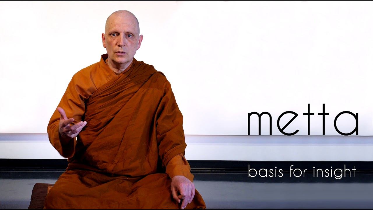 Metta (1): Basis for Insight смотреть онлайн