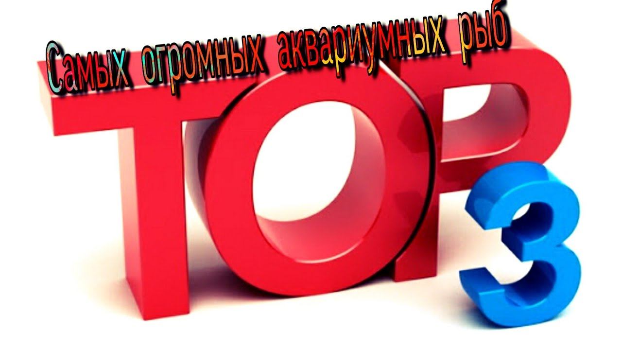 ТОП 3 самых огромных аквариумных рыб смотреть онлайн